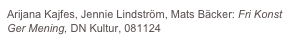 Arijana Kajfes, Jennie Lindström, Mats Bäcker: Fri Konst Ger Mening, DN Kultur, 081124