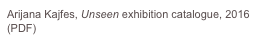 Arijana Kajfes, Unseen exhibition catalogue, 2016 (PDF)